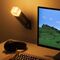Minecraft Torch Light / Gadgets