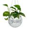 FUNKY DISCO PLANTER / Gadgets