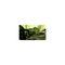 Metal Gear Solid 4: Guns of the Patriots / PlayStation 3 - PS3 Games - Games - Techbox