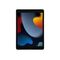 Apple - iPad 10.2 Wi-Fi 9. gen. 256 GB - Space Grey / iPadOS | Techbox