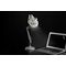 Star Wars - Millennium Falcon Posable Desk Light (PP5056SWV2) / Gadgets |  Techbox