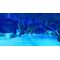 The Smurfs 2: The Prisoner of the Green Stone / PlayStation 5 - PS5 Games - Games - Techbox