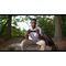 Backbone - One Mobile Gaming Controller for iPhone - Xbox Edition / Electronics - Smartphone Accessories - Cables & Accessories - Techbox
