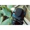 GoPro - Max Lens Mod 2.0 For HERO12 Black / Electronics | Techbox