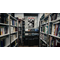 DESOLATIUM / Nintendo Switch | Techbox