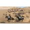 Mount & Blade II: BANNERLORD / PlayStation 4 - PS4 Games - Games - Techbox