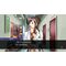 Apollo Justice: Ace Attorney Trilogy (Import) / Nintendo Switch | Techbox