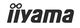 iiyama
